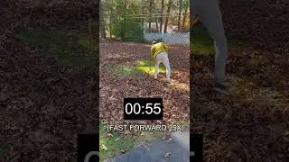 Robot Leaf Blower vs. Human