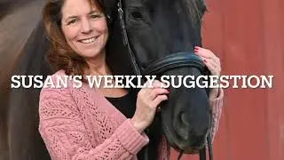 Improving the Canter Transition #dressagetraining #horses