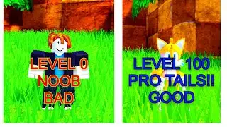 100 Levels as Tails, Sonic Speed Simulator!!!!