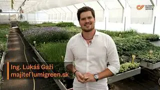 Stojíme za každým dobrým nápadom - eshop LUMIGREEN | Slovak Parcel Service