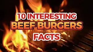 10 Crazy Burger Facts You Won't Believe