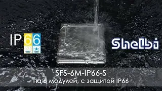SFS 6M IP66 S