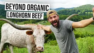 Family sold EVERYTHING to build a SUSTAINABLE LONGHORN Cattle Ranch!