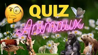 Trouveras-tu tous les animaux de ce quiz ?