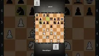 HannahSayce vs jkane1 2023 02 13