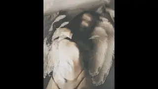 M1n1str - Angel (Original)