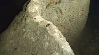 Великая Жучья Стена