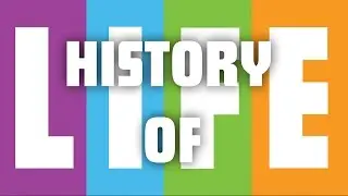 History Of: The Game Of Life - Why Was It Created?