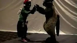 Midwest Fur Fest 2018