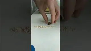 Дал Вкусняшку ❤️🐌 