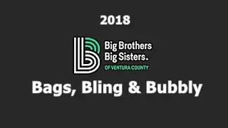 Big Brothers Sisters Ventura County ~ Bling, Bags, Bubbly 2018