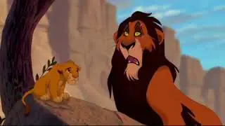 Братец король лев Кода и Симба(в описание)