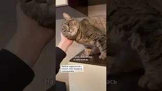 День8. Пошла вода горячая…