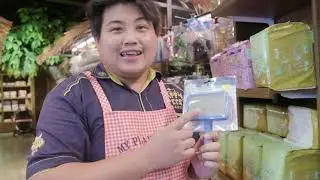 AWAS. Salah Pilih Sisir Bisa Merusak Rambut Anabul  |  Tips grooming yang baik dari groomer pro.