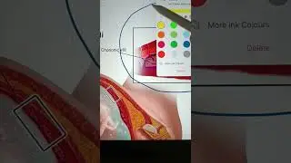 Placenta || Nutrition to embryo in mother's body #placenta #embryos #biology #shorts #10science