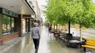 Relaxing Rain Walk in BANFF Alberta CANADA