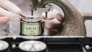 Cápsula Liderazgo reloj cuarzo
