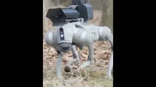 Flamethrowing Robot Dog cost almost $10,000. #tech #technews #robot #robotics #robots