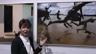 Oprowadzanie kuratorskie / wystawa 