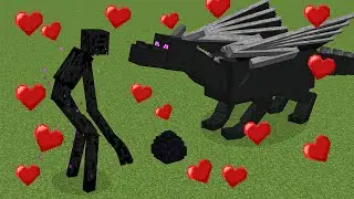 mutant enderman ❤️ ender dragon