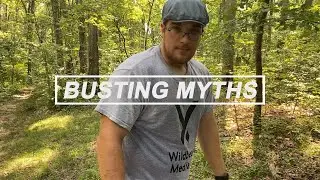 Myth: Bear Pee Melt Tree