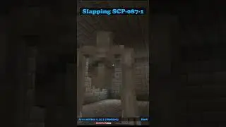 Minecraft: Slapping The 
