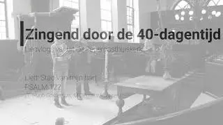 Liedvlogs - Stad van mijn hart