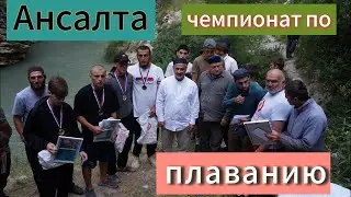 Чемпионат по плаванию. Ансалта 2024