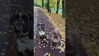 Все довольны