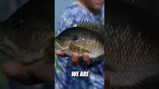We're GOING on an ADVENTURE! #adventure #fishing #outdoors