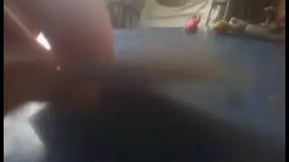 Мои поделки из пластилина.