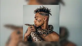 Сафари - Тортуга (Тик-ток REMIX 2022)
