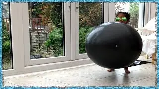 Baby Ashu Playing with Gym Ball. Little Baby Kicking Huge Ball and Hiding Family Fun Time