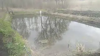 Война. Украина. Пруд.