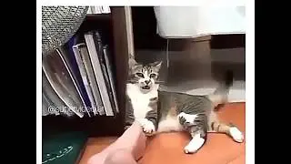 Ayak kokusu can alır...