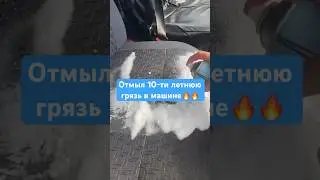Отмыл сиденье очень грязное 🔥🤗 
