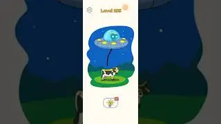 Dop 4 level 295