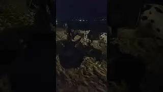 Данил и Даниил