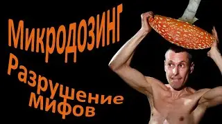 Секреты безопасного микродозинга мухоморов.