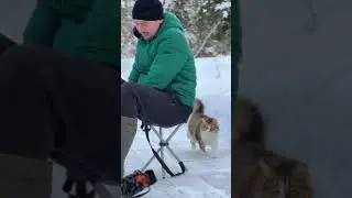Пришли с котом на каток.