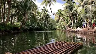 Inner Peace -Relaxation & Sleeping -Jungle And Water Sounds #12
