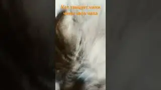 31 июля 2024 г.