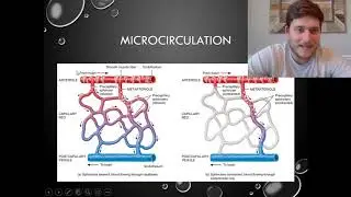 Blood Vessels & Very Short Intro to Lymphatic System