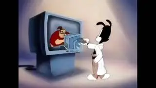 Discord Mod (Animaniacs)