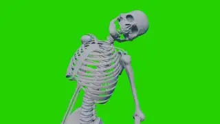 Skeleton Evil Laugh FREE Greenscreen ◈ Halloween spooky VFX