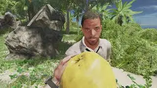 Stranded Deep