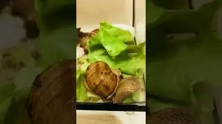 Ам-ням-ням 😋