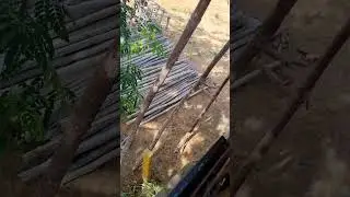 Steel placement for Stair case
