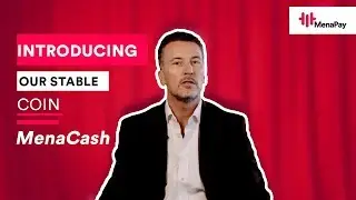 Introducing Our Stable Coin MenaCash