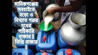 মানিকগঞ্জের সবচাইতে বড়ো ও বিখ্যাত গরুর দুধের পাইকারি বাজার || তিল্লি বাজার, সাটুরিয়া, মানিকগঞ্জ ||